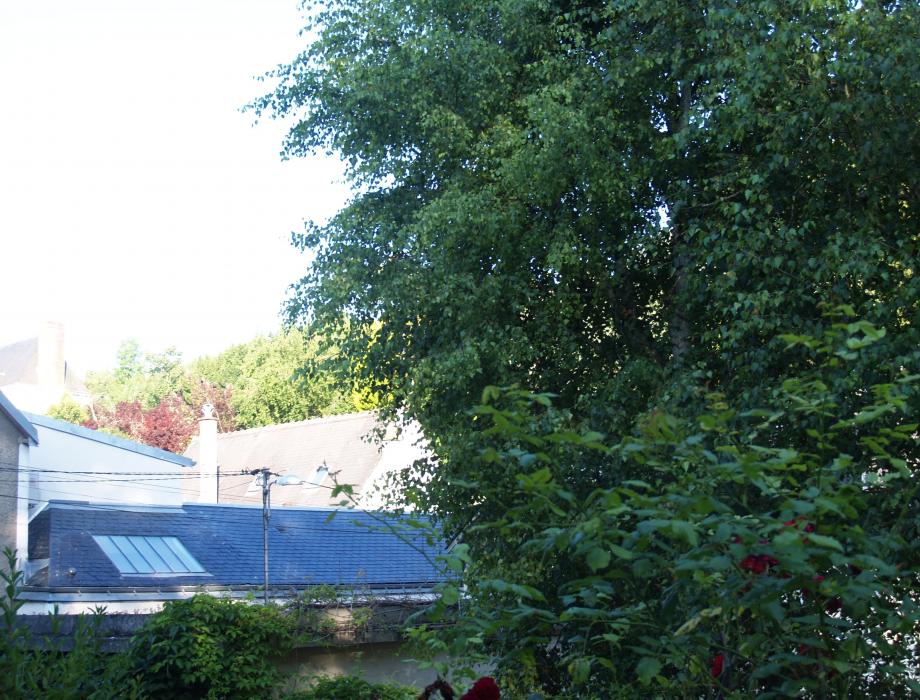 AVANT : Rénovation d'une maison à Sainte Radegonde